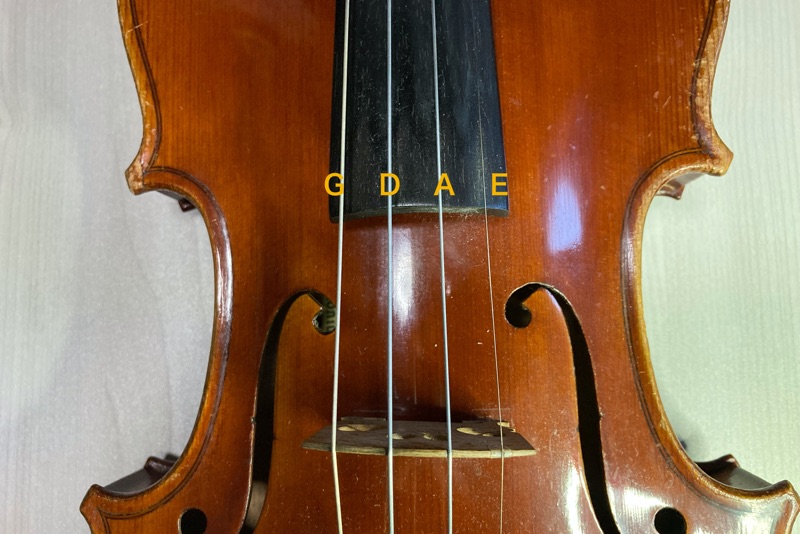 ヴァイオリンの開放弦。
G・D・A・E