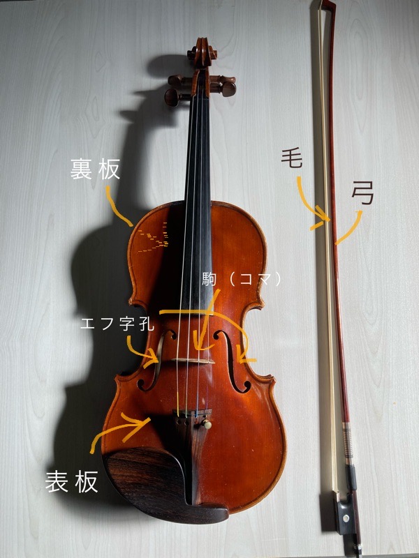 ヴァイオリンのパーツの名称